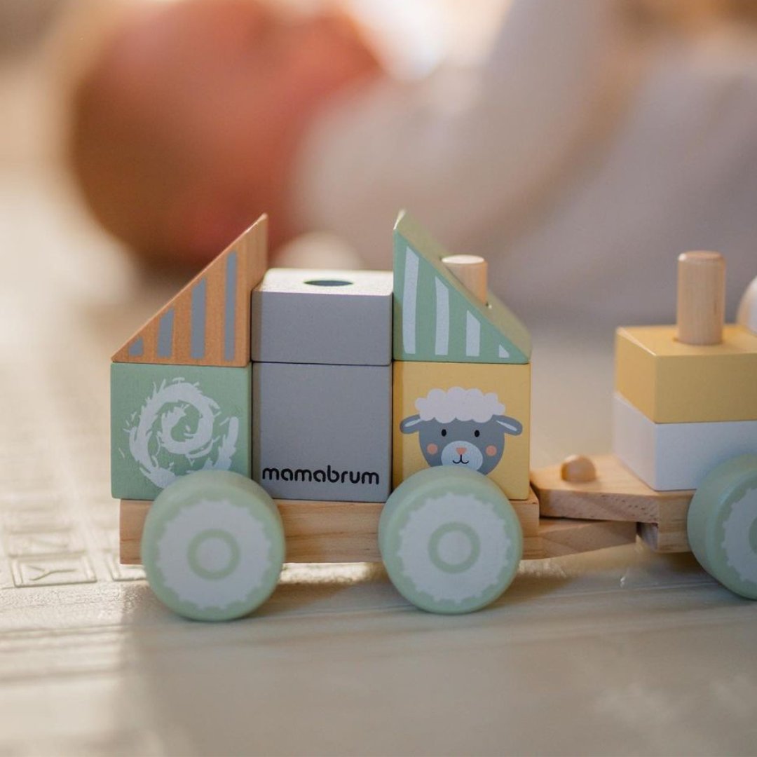 Tåg i trä med klossar för en pojke - Farm