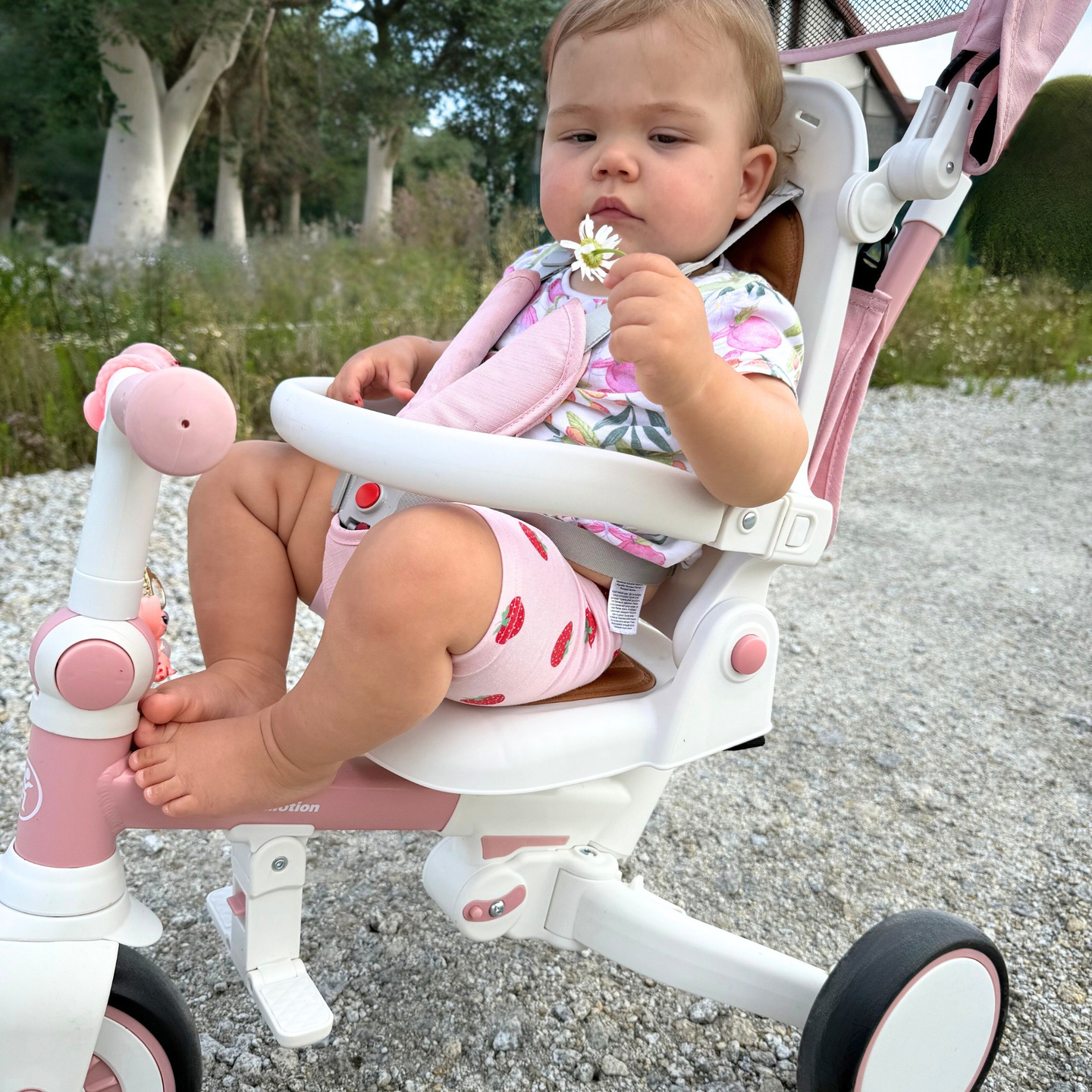 8in1 multifunktionell trehjuling TOBI FOREST - rosa