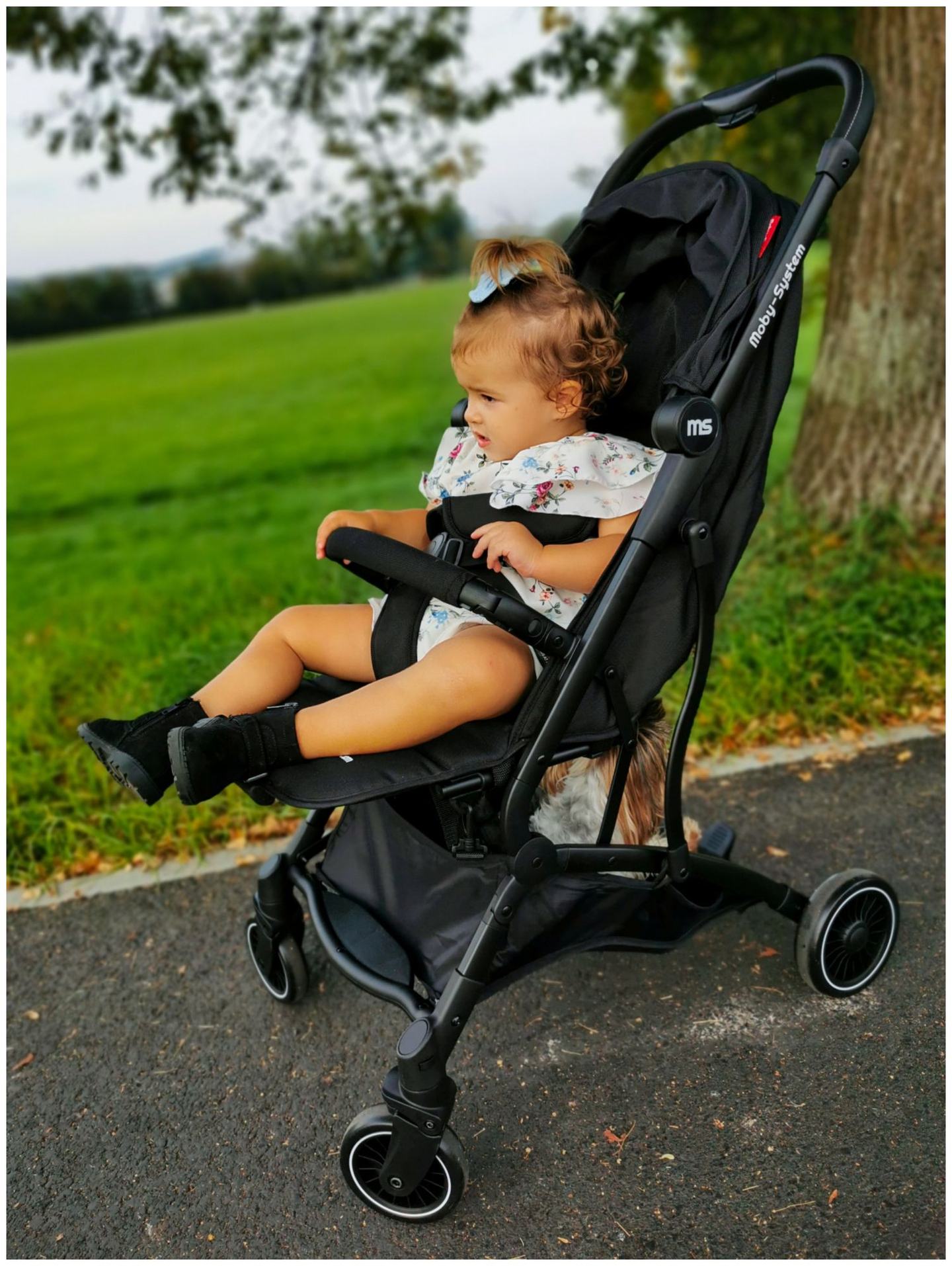 Moby-System barnvagn LENA