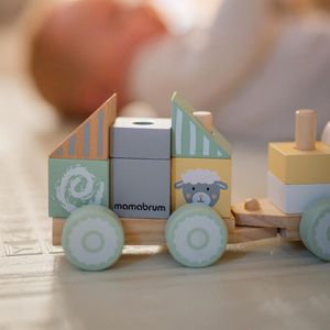 Tåg i trä med klossar för en pojke - Farm